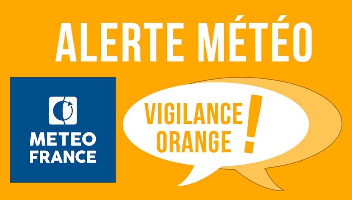 Logo vigilance orange